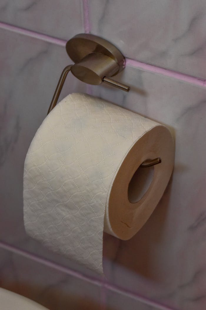 Close-up of a toilet paper roll on a holder against marble tiles in a bathroom setting.